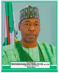 His Excellency, Prof. Babagana Umara Zulum