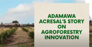 Impacts Story on Adamawa State ACReSAL